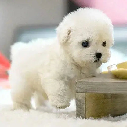 Realistic Puppy That Brings Comfort and Joy