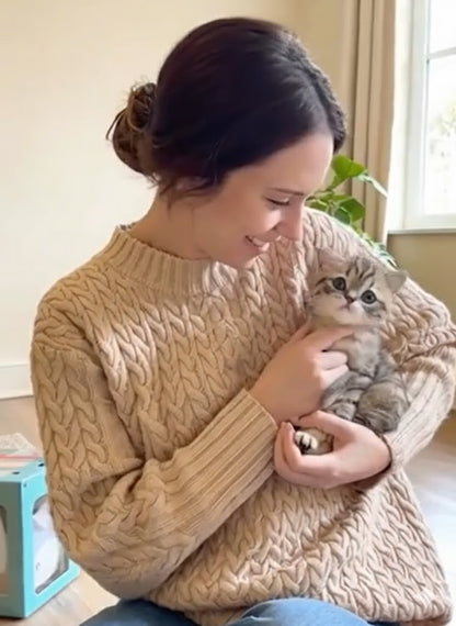 Gatito robot CozyReal