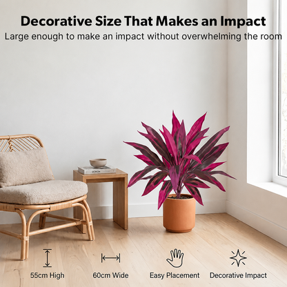 Set de plantas de patio con colores tropicales