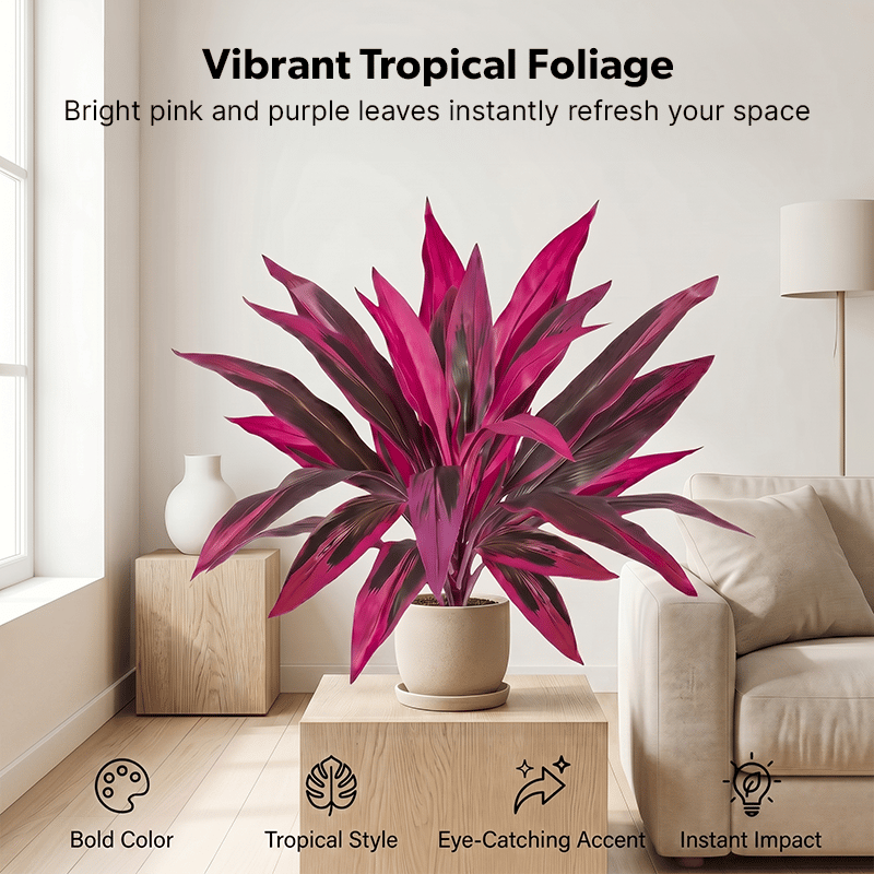 Set de plantas de patio con colores tropicales