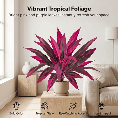 Set de plantas de patio con colores tropicales