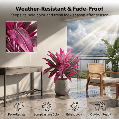 Set de plantas de patio con colores tropicales